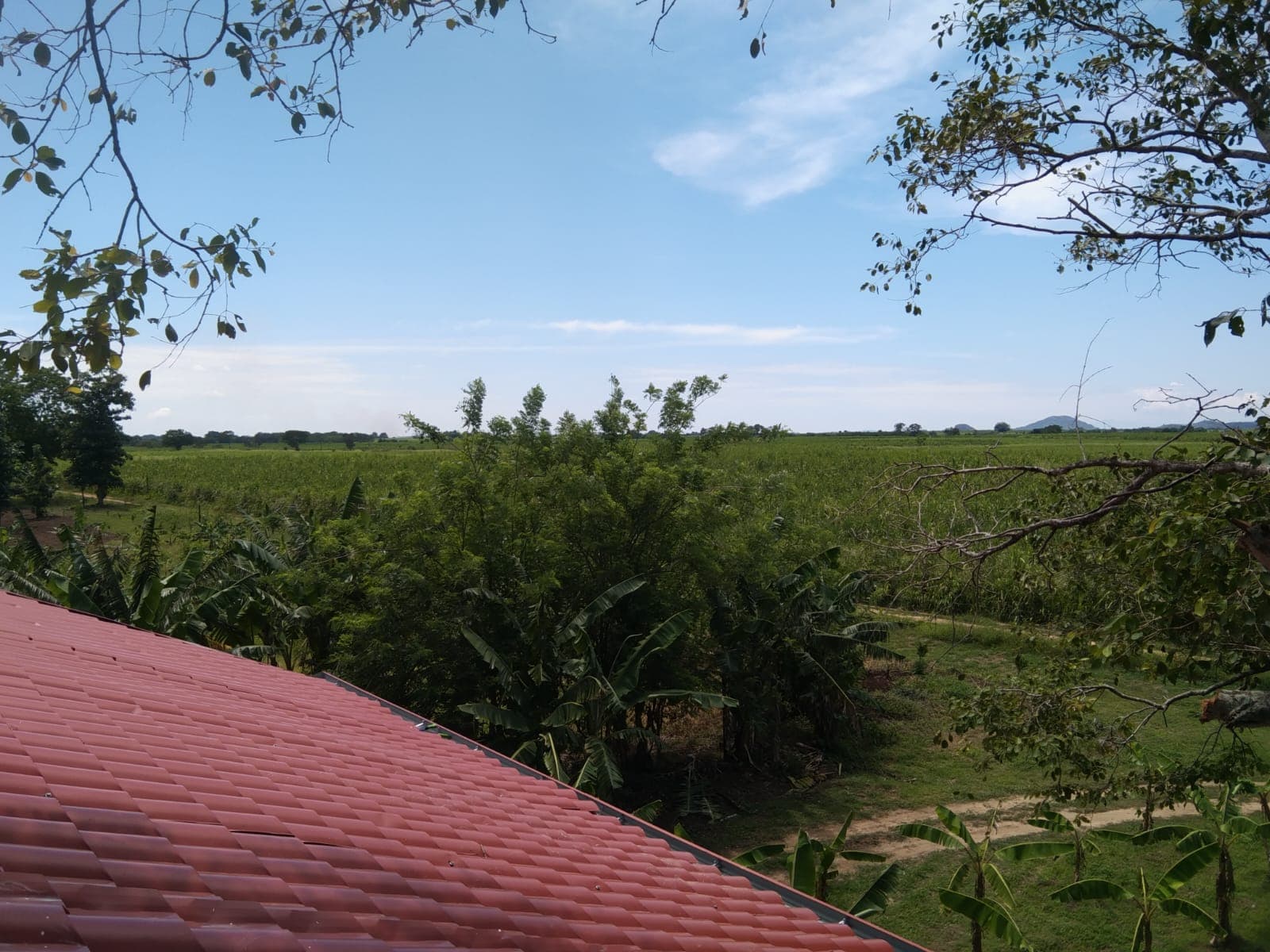 All Work Example 118